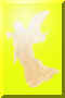 angel.jpg (11064 �o�C�g)