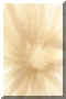 greatsun.jpg (24365 �o�C�g)